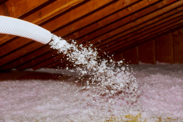 Best Energy Efficiency Solutions in Del Mar, CA